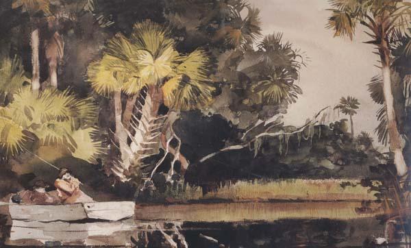 Winslow Homer Homosassa Jungle (mk44) oil painting picture